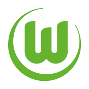 VfL Wolfsburg Tröja
